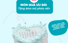 Bánh Kem Thỏ Tây – Bánh Kem Cần Thơ Giao Nhanh Tận Nơi Tại Quận Ninh Kiều