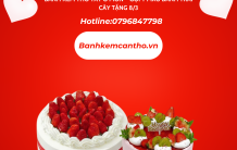 Bánh Kem Thỏ Tây Ô Môn – Gợi ý mẫu bánh trái cây tặng 8/3 ngọt ngào và tinh tế tại Cần Thơ