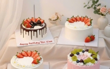 Bánh kem trái cây hot cần thơ năm 2026