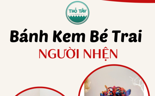 Bánh Kem Người Nhện Siêu Hot 2025 – Bánh Sinh Nhật Bé Trai Được Yêu Thích Tại Bánh Kem Thỏ Tây Cần Thơ
