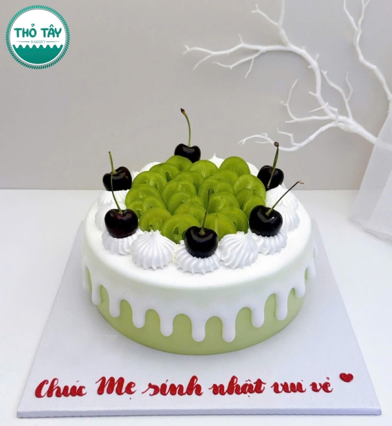 Mẫu bánh sinh nhật tặng mẹ yêu thích trái cây tươi