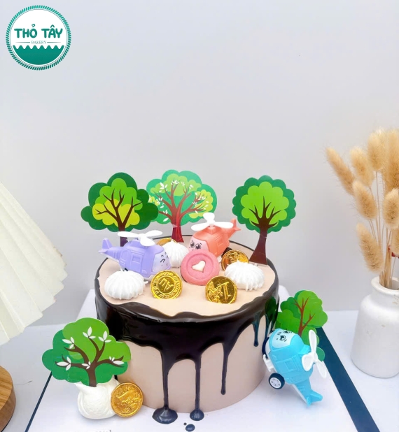 Bánh kem dành cho bé trai yêu thích máy bay lên 6 tuổi