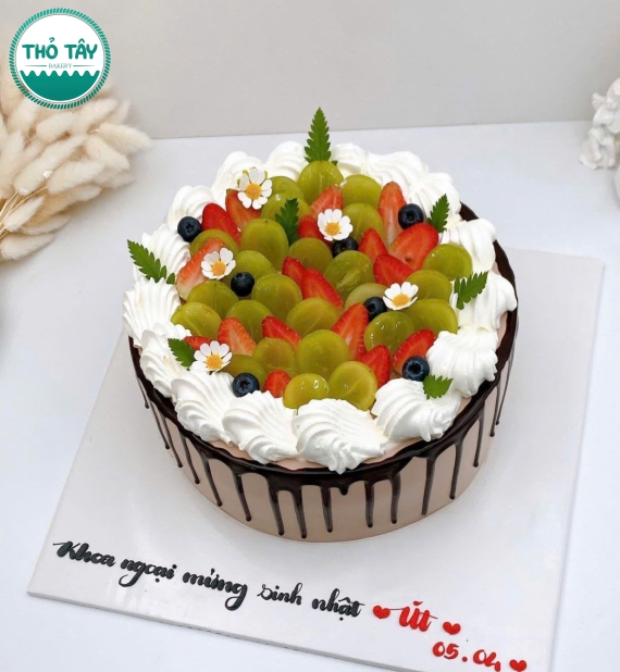 Mẫu bánh trái cây socola mẫu bánh đẹp tặng chị