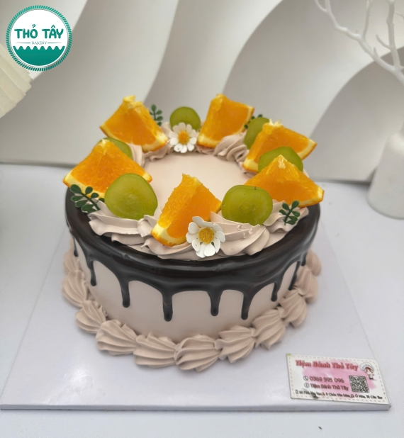 Mẫu bánh trái cây đẹp socola