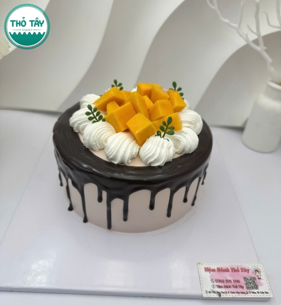 Bánh Kem trái cây socola mix với xoài 