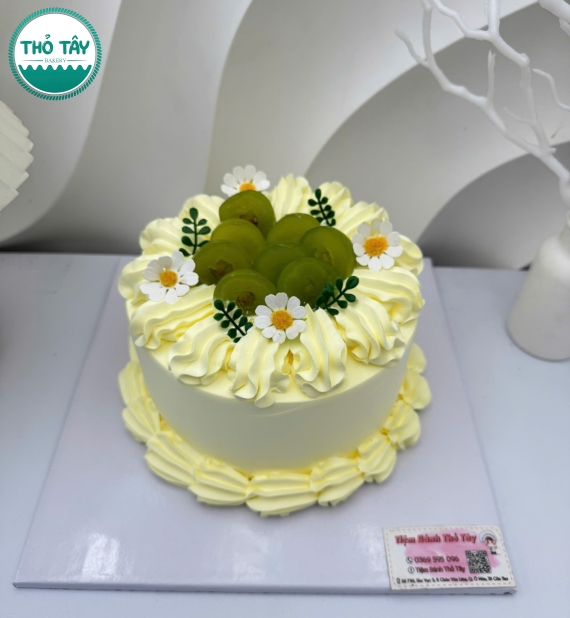 Mẫu bánh trái cây dành cho nữ