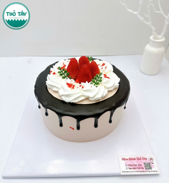 Mẫu bánh trái cây socola mẫu đẹp 2026