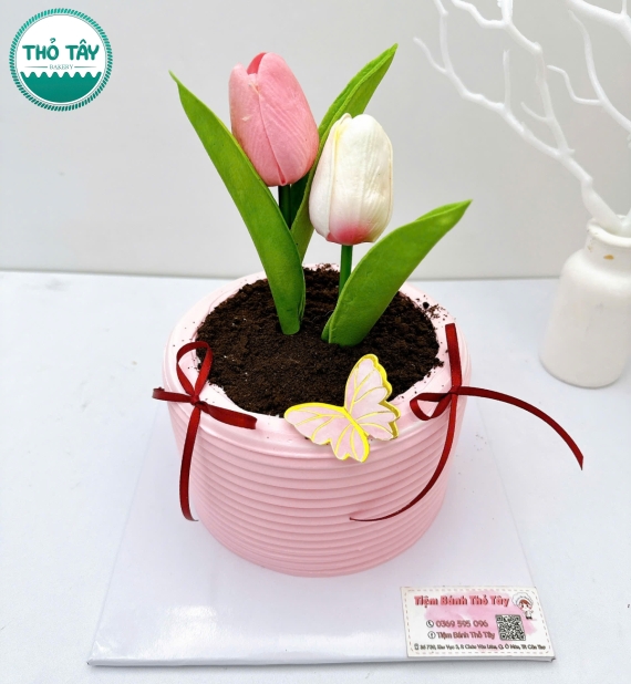 Bánh kem style Hàn Quốc tạo hình bình hoa tulip