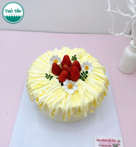 Bánh Kem trái cây hot tại Cần Thơ mix dâu tây hot 