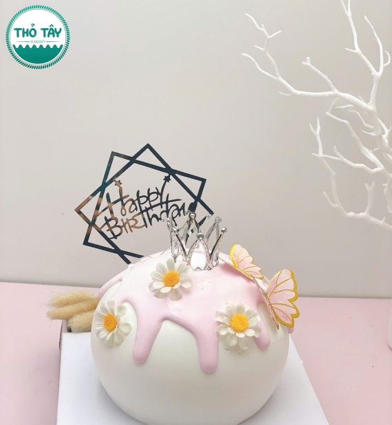 Bánh kem hàn quốc mẫu đẹp 2026 hình tròn