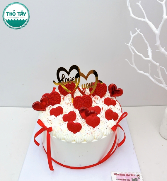 Bánh Kem Đơn Giản Mà Đẹp Cho Nữ