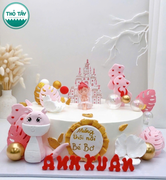Bánh Kem dành cho bé gái lên 9 tuổi 