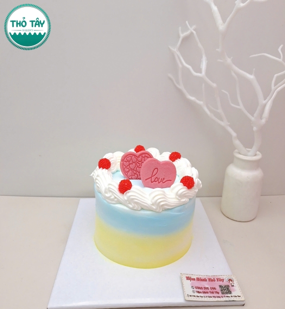 Bánh Kem Hàn Quốc mẫu bánh đơn giản dễ thương cho nữ