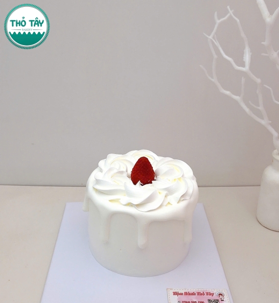 Bánh Kem Trái Cây mix 1 quả dâu hot 