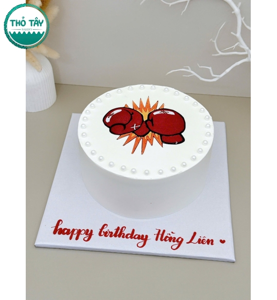 Bánh gato sinh nhật vẽ hình đánh boxing siêu dễ thương tặng nữ