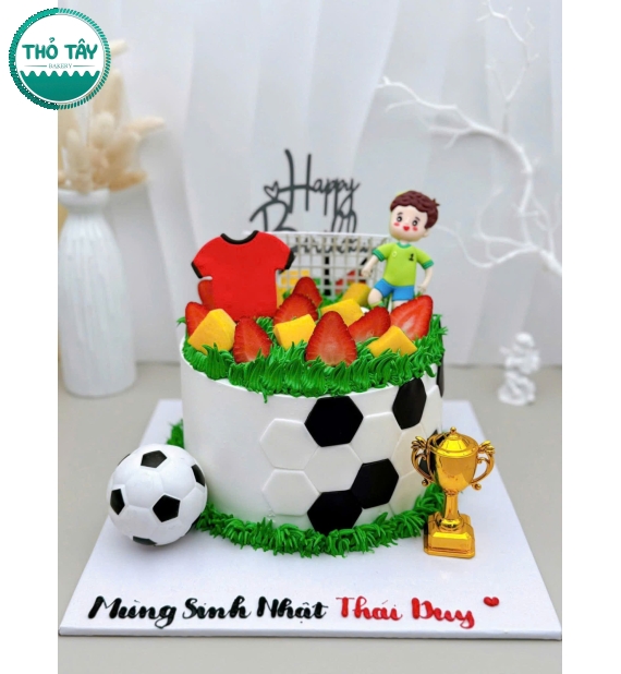 Bánh kem dành cho mê bóng đá-bánh kem cần thơ Châu Văn Liêm