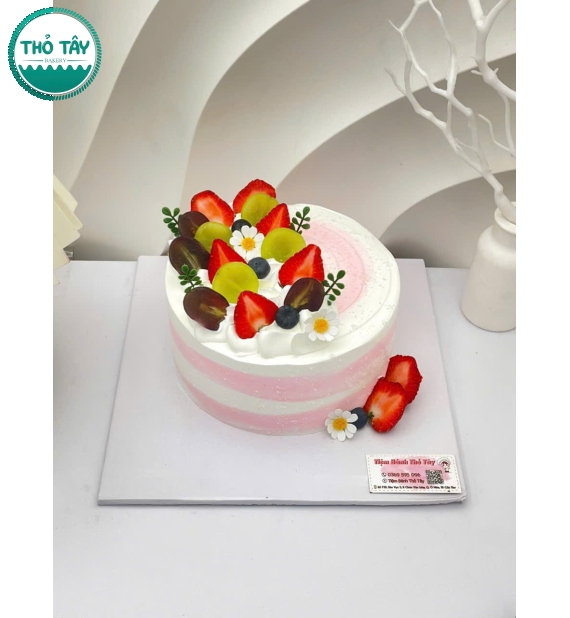 Bánh Kem trái cây mix các loại siêu hot tại Cần Thơ