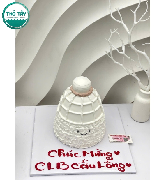 Bánh kem tạo hình quả cầu lông