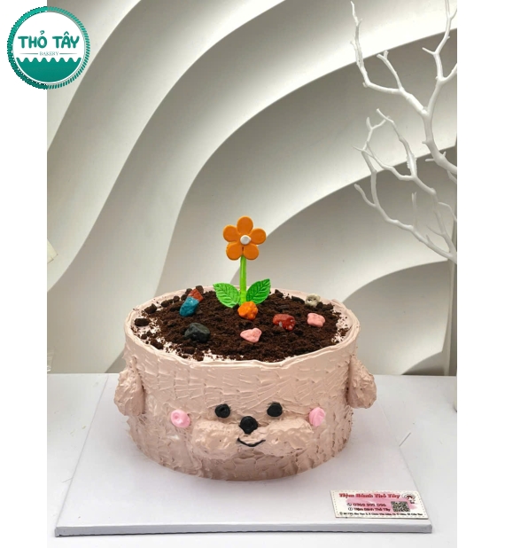 Bánh kem tạo hình bình hoa xinh sắn