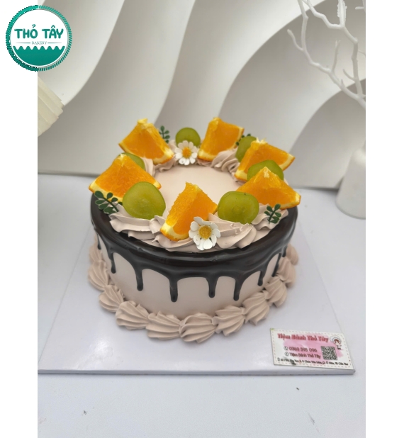 Mẫu bánh trái cây đẹp socola