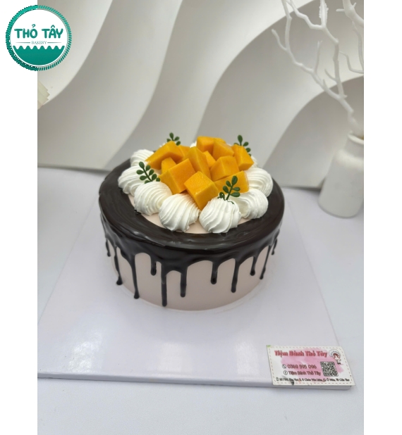 Bánh Kem trái cây socola mix với xoài 