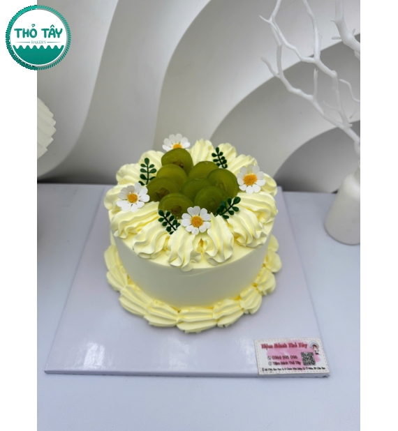 Mẫu bánh trái cây dành cho nữ