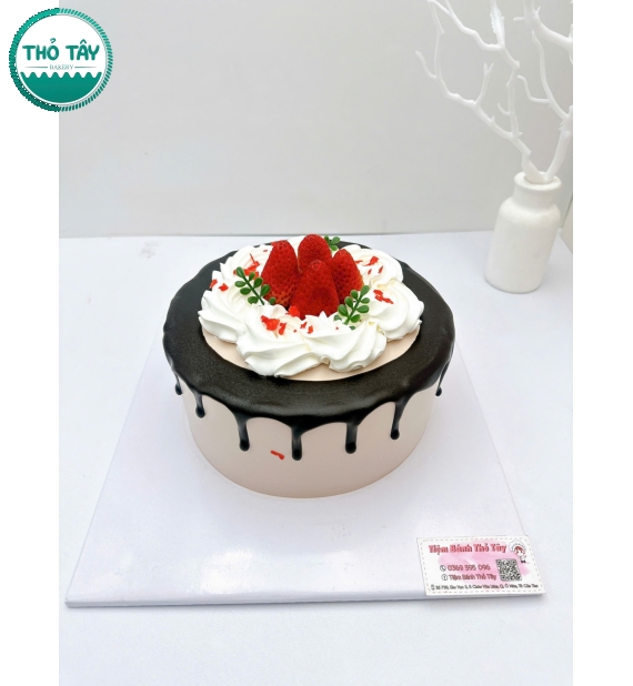 Mẫu bánh trái cây socola mẫu đẹp 2026