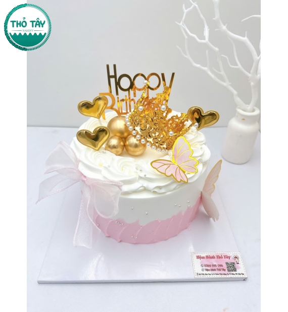 Mẫu bánh kem dành tặng cho nữ hot 2026