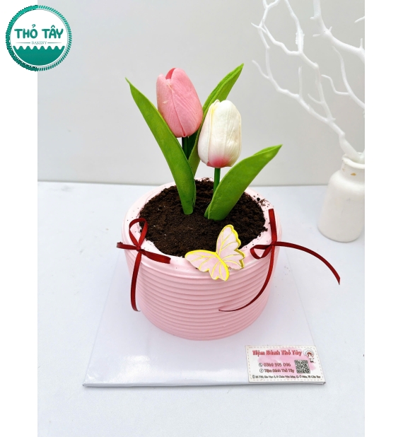 Bánh kem style Hàn Quốc tạo hình bình hoa tulip