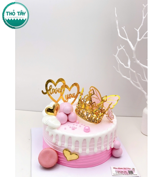 Mẫu bánh kem tặng kỉ niệm hot tại cần thơ tone hồng