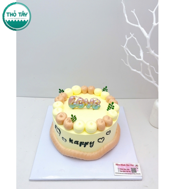 Bánh Kem Đơn Giản Dễ Thương Cho Nữ